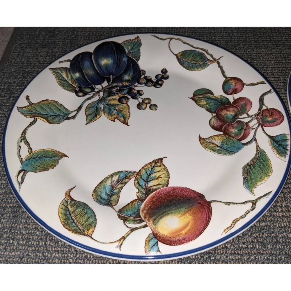 Pier 1 Macintosh Apple Fruits Dinner Plates Pair of 2 Multicolor 10